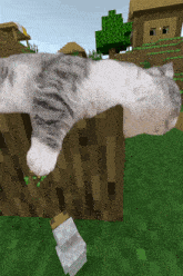 a cat is laying on a wooden block in a minecraft world