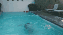 Swimming Fresh GIF - Swimming Fresh Cool Down GIFs