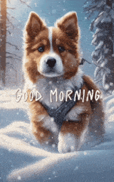 Good Morning Images New 2023 Cute Dog GIF - Good Morning Images New 2023 Cute Dog Winter GIFs