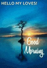 Good Morning Morning GIF - Good Morning Morning GIFs