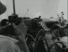 army gun rifle ww1 ww2