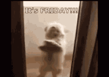 Its Friday Dog GIF - Its Friday Dog Dance GIFs