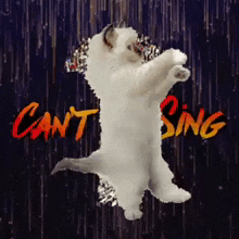 Cant Sing Cat GIF - Cant Sing Cat Cs GIFs