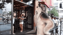 a dog is standing in front of a restaurant with a woman standing in the background .