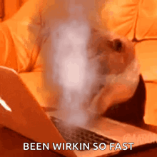 a cat is typing on a laptop with smoke coming out of it and the text been wirkin so fast