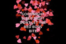 Goodnight Sleep Tight GIF - Goodnight Sleep Tight Dont Let The Bed Bugs Bite GIFs