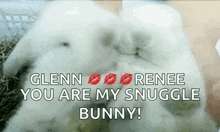 Rabbit Bunny GIF - Rabbit Bunny You Are My Snuggle Bunny GIFs