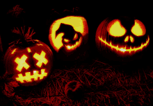 Halloween Pumpkin GIF - Halloween Pumpkin Jack GIFs
