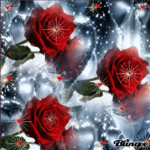 Red Roses GIF - Red Roses Illuminate GIFs