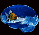 a computer generated image of a fish in a blue brain