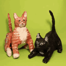 Cat Cats GIF - Cat Cats Bloody GIFs