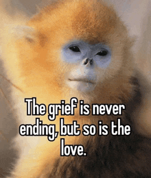 a monkey with a quote that says `` the grief is never ending , but so is the love '' .