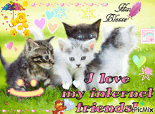 a picture of three kittens with the words " i love my internet friends "