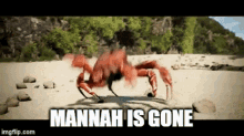 Mannah Crab Rave GIF - Mannah Crab Rave GIFs