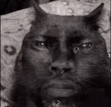 a black and white photo of a black cat with horns looking at the camera .