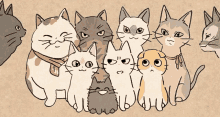 Cattoos GIF - Cattoos GIFs