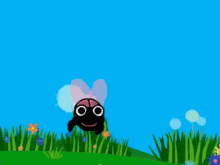 a fly with big eyes and a smiling face