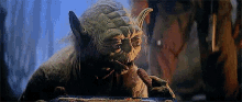 Yoda Eating GIF