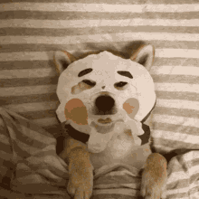 Dog Mask GIF - Dog Mask GIFs