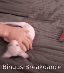 Bingus Break Dancer GIF - Bingus Break Dancer GIFs