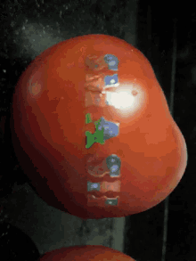 Smash That GIF - Smash That Tomato GIFs