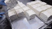 a bunch of squares of white frosting are on a tray that says made in animonica