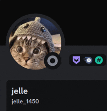 Jelle'S Belle GIF
