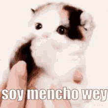mencho cartel