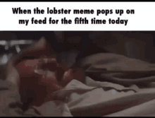 a meme about a lobster meme pops up on a person 's feed for the fifth time today