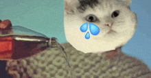 a cat is crying while holding a bottle of soda