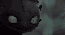 Crazy Toothless GIF - Crazy Toothless Dragon GIFs
