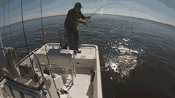 Fisherman Fishing GIF - Fisherman Fishing Trout - Discover & Share GIFs