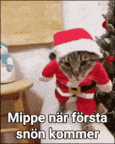 Mippe Christmas Mippe GIF - Mippe Christmas Mippe Första Snön GIFs