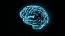 Blue Brain GIF - Blue Brain Moving GIFs