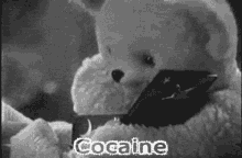 Cocaine Sprinkle GIF - Cocaine Sprinkle Teddy Bear GIFs
