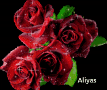 Roses GIF