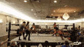 a group of women wrestling in a ring with the caption cap big bang