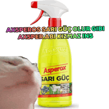 Axsper GIF - Axsper GIFs