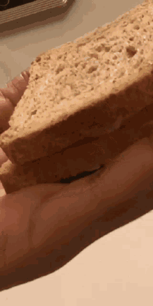 Sandwich Food GIF - Sandwich Food GIFs
