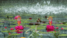 Lord Krishna Pond GIF