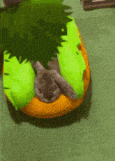a cat is laying on an orange and green pillow