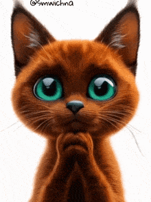 a cat with big green eyes is looking at the camera