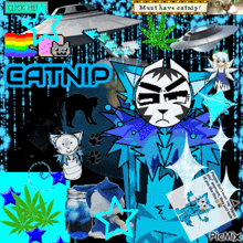 a picture of a cat with the word catnip on the top