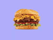 burger food fast food