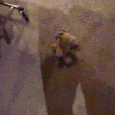 a stuffed animal is standing in front of a wall with a bicycle in the background