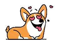 a corgi dog is laying down with hearts in his eyes and sticking its tongue out .