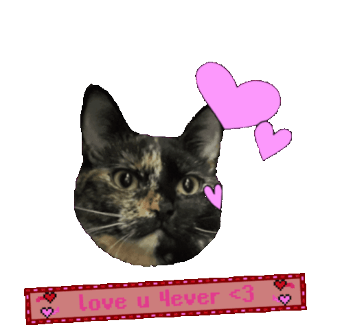Love Cat Sticker - Love Cat Love You Stickers