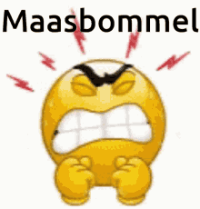 Maasbommel GIF - Maasbommel GIFs