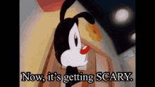 Animaniacs Now Its Getting Scary GIF - Animaniacs Now Its Getting Scary Baloney GIFs
