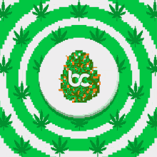 bitcanna crypto token cannabis weed
